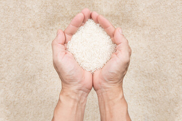Thai jasmine rice seed in hand on rice background. Organic rice, jasmine rice - 535336606
