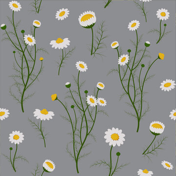 Set of seamless patterns with wild flowers