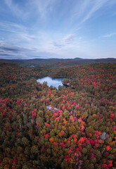 landscape with red  autumn colors 