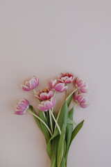 Tulip flowers bouquet on pastel pink background. Flat lay, top view