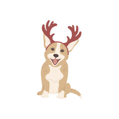 Cute Corgi Dog on the white Background.