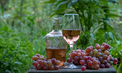 Pouring rose wine from a bottle into glass on table with pink grapes. Grape harvest. Wine tasting culture. Sommelier pouring dessert wine in glass. Winery Filling wine glass outdoor slow motion