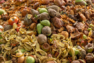 Food Waste. Compostable food scraps. Domestic organic waste for compost from fruits and vegetables. Recyclable materials. Separate waste collection. Compost bin with organic waste