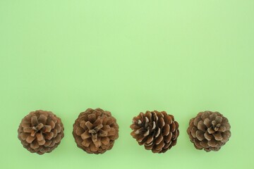 Pine fir cones of coniferous tree isolated on green background. Creative christmas holiday composition. Decoration for postcard. Top view, copy space, flat lay, close up