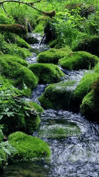 Fresh Clean Alpine Water Flowing in Nature Vertical 4K video