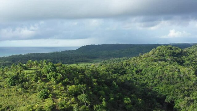 aerial image flying over rainforest in brazil