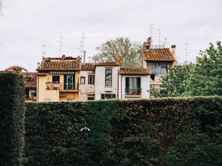 Tightly grouped houses in Florence, Italy.