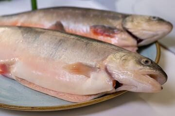 Two fresh cleaned arctic char fish on a blue plate on a white table with a kitchen in the background.
