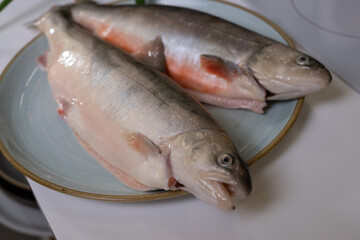 Two fresh cleaned arctic char fish on a blue plate on a white table with a kitchen in the...