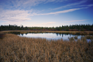 Eastern Paalsknappen Pond of the Torsaetercampen Nature Reserve, part of the Totenaasen Hills, in autumn.