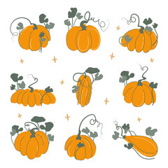 Pumpkins set vector illustration with stars Collection of Halloween and Thanksgiving day elements Flat doodle style design All objects are isolated on white background