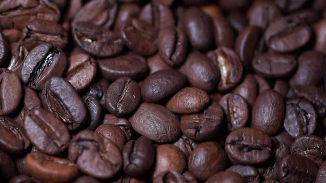 Coffee beans shaking in the coffee machine close up