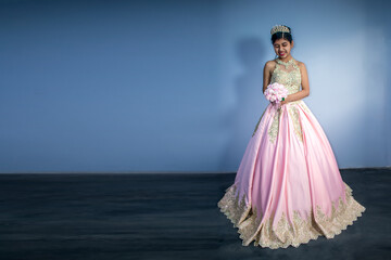 Beautiful woman in dress - princess pink costume. blur background with space for text © JuanSt