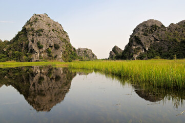 Fototapeta na wymiar Roseaux et montagnes dans la réserve naturelle de Van Long près de Ninh Binh, Vietnam