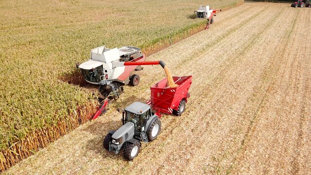 Zwei Maish&auml;cksler und Traktor mit Anh&auml;nger auf einem Feld bei der Erntearbeit, Landwirtschaft, Biomasse, Bioenergie, Agrarpolitik, Lebensmittelerzeugung