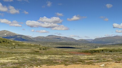 plateau et montagne au centre de la Norvège Hardangervidda