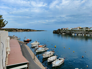 boats in the harbor