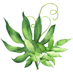 Obraz premium Watercolor floral bouquet of tropical leaves and exotic flowers.