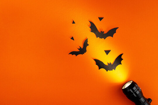 Orange cute Halloween background design with copy space with bats silhouettes and flashlight beam