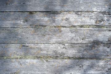 The texture of an old fence with a shadow. Wood texture with horizont lines. The texture of wood with knots and holes. The texture of a tree with moss.
