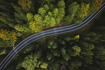 winding mountain road in a green forest (aerial view)