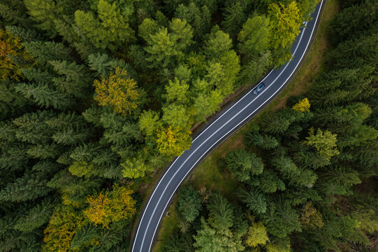 winding mountain road in a green forest (aerial view) © ptyszku
