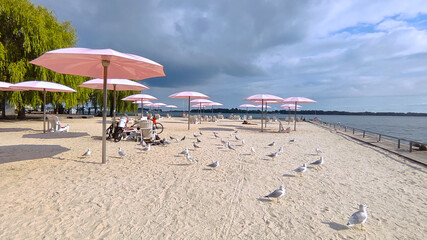 Seagulls on a hot summer day on the beach