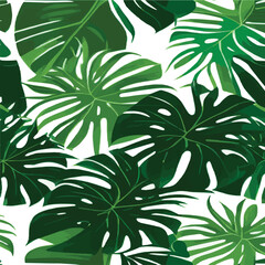 Obraz na płótnie Canvas green monstera pattern white background. exotic pattern with tropical leaves. Vector illustration. monstera leaf pattern. Tropical palm leaves. Exotic design fabric, textile print, wrapping paper
