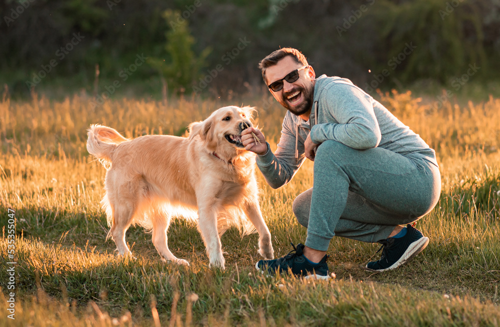 Wall mural handsome man with a dog golden retriever walk in autumn meadow