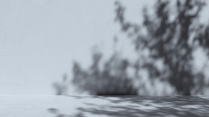 3D image of White concrete place background with nature gobo shadows