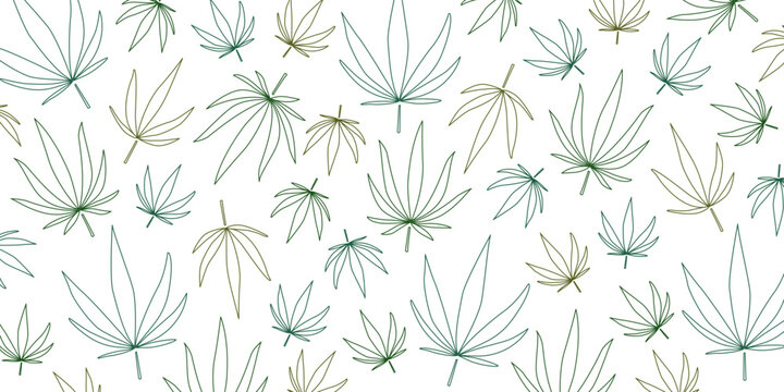 Many hemp leaves on white background. Pattern for design