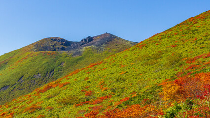 秋田駒ヶ岳　女岳と紅葉　絶景