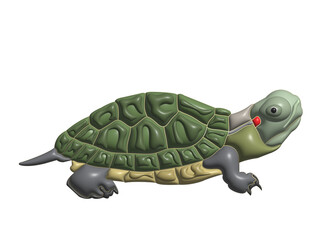 turtle in transparent background image