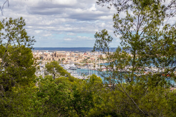 Fototapete bei efototapeten.de bestellen   