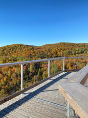 Bridge over the forest and mountains. Wooden walkways above the tree tops. Footpath and fence in the wood. Autumn in the park. High platform in fall with colored trees. Hiking trail.