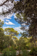 Weg zum Castell de Bellver | Burg | Palma de Mallorca | Spanien |