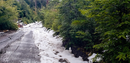 Pucon, Chile. Snowy road in the forest.