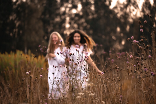 Two Best Friends Are Walking In A Field On A Summer Evening. Sunset Games