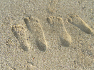 footprints in sand, family