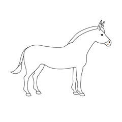 Vector flat hand drawn outline donkey isolated on white background