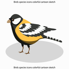 Birds species icons colorful cartoon sketch