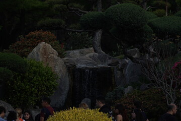 waterfall in the forest