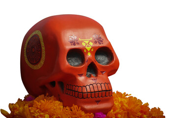 Decorated skull and flowers for day of the death celebration