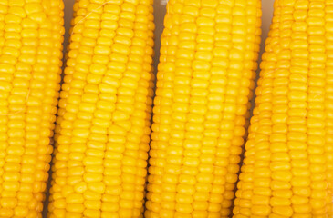 A close up shot of a fresh ears of corn background