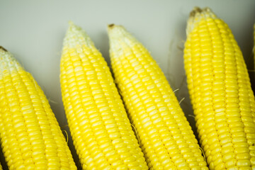 Four ears of yellow young corn. Close up