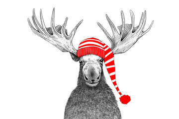 Christmas moose wearing a red and white striped stocking hat, hand drawn sketch or illustration, fun moose character, winter party animal, funny holiday card
