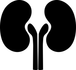  Kidneys icon. Vector. Flat design on white background..eps