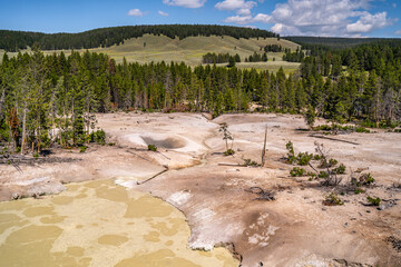 Acid Springs in Sulphur Caldron Yellowstone National Park 