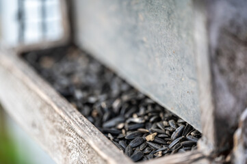 Filling a wooden weathered bird feeder with sunflower seeds. 