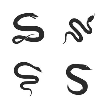 Snake logo vector